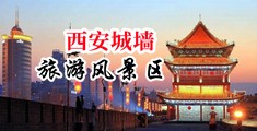 少妇性感有毛视频一级片中国陕西-西安城墙旅游风景区